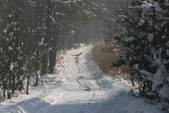 II Niedziela w Adwencie