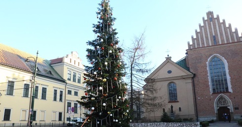 Jubileuszowa "Choinka pod Oknem Papieskim"