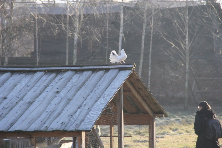 Żywa szopka u bernardynów