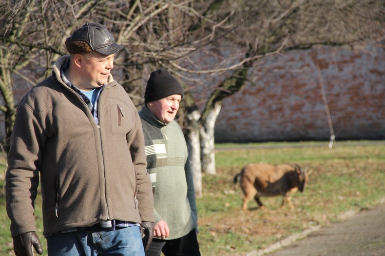 Żywa szopka u bernardynów