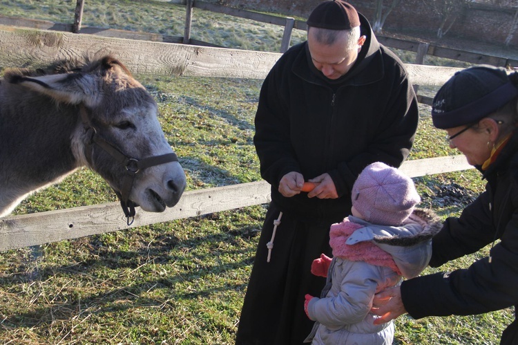 Żywa szopka u bernardynów