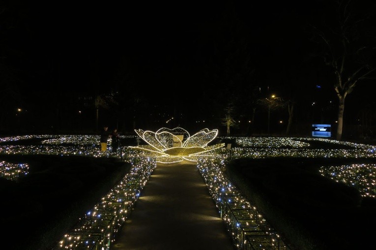 Rozświetlony Park Oliwski