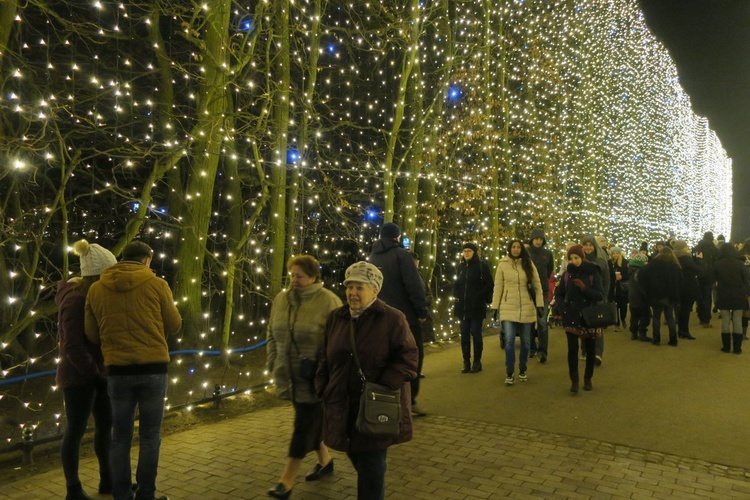 Rozświetlony Park Oliwski