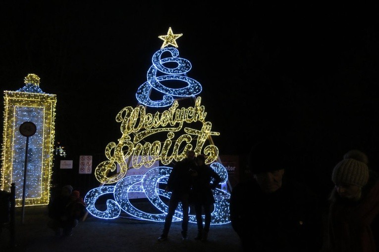 Rozświetlony Park Oliwski