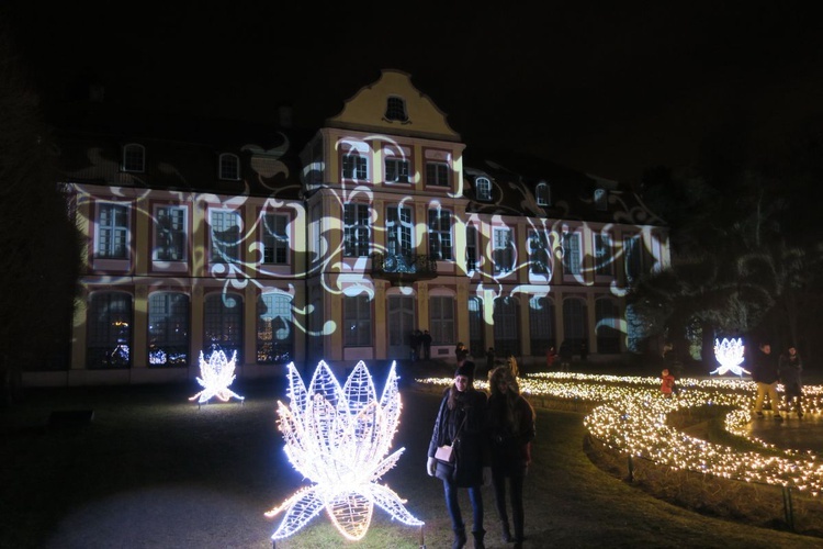 Rozświetlony Park Oliwski