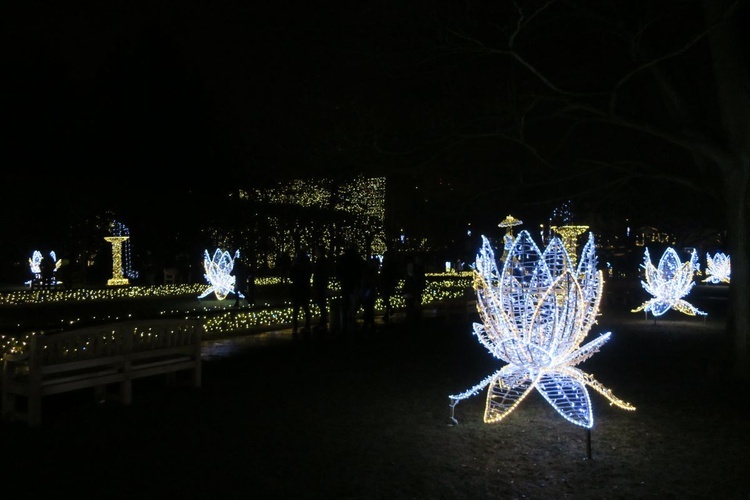 Rozświetlony Park Oliwski