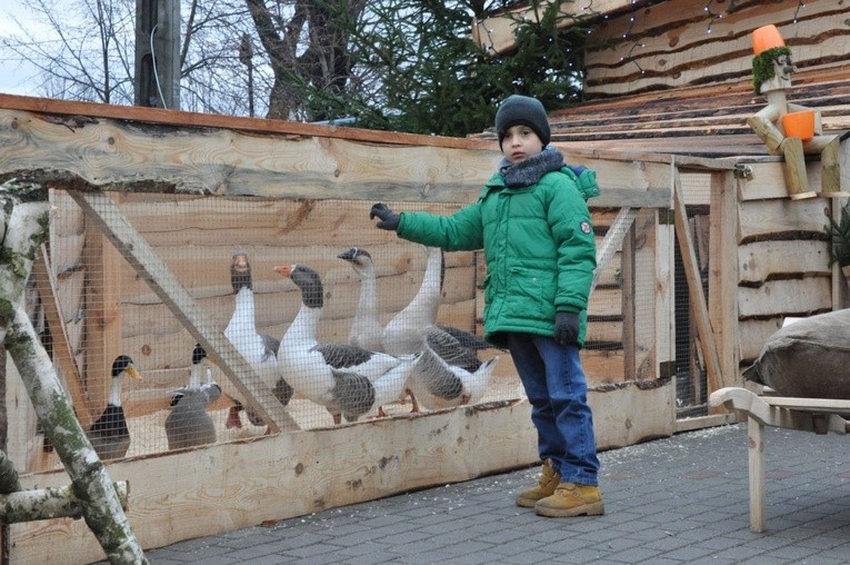 Żywa szopka w Dziergowicach 