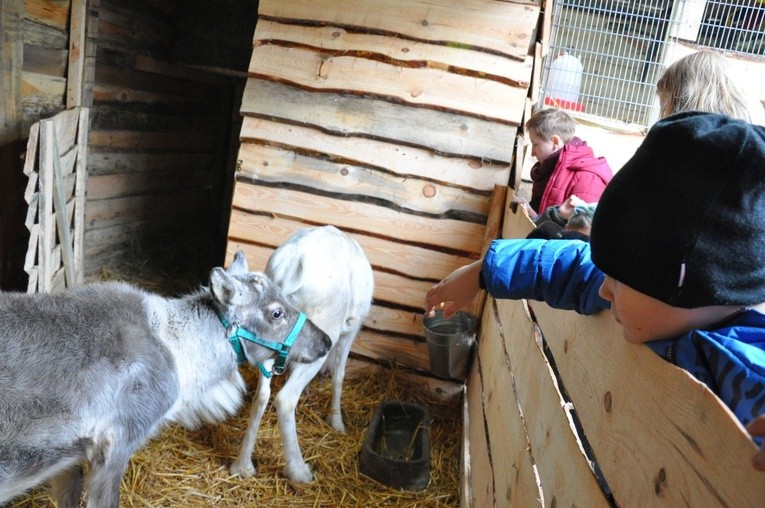 Żywa szopka w Dziergowicach 
