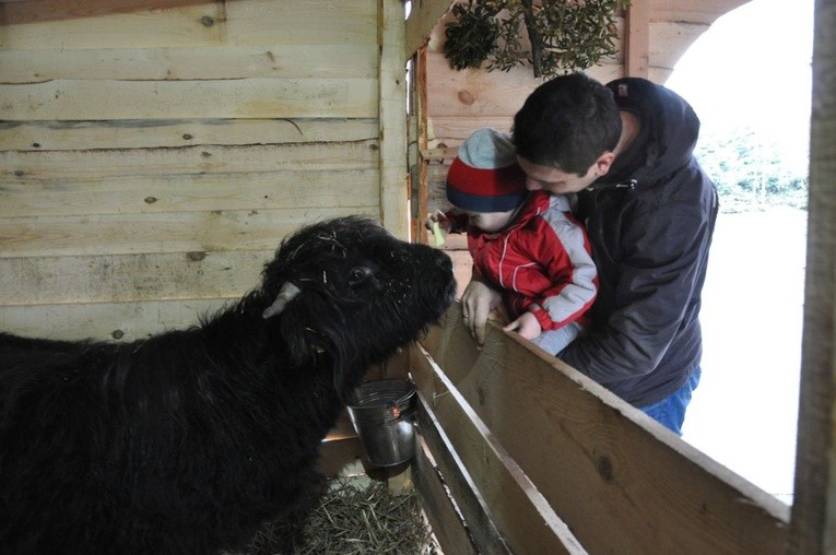 Żywa szopka w Dziergowicach 