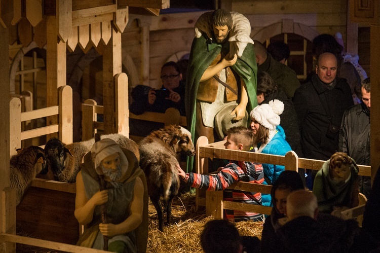 Żywa szopka u franciszkanów w Tychach