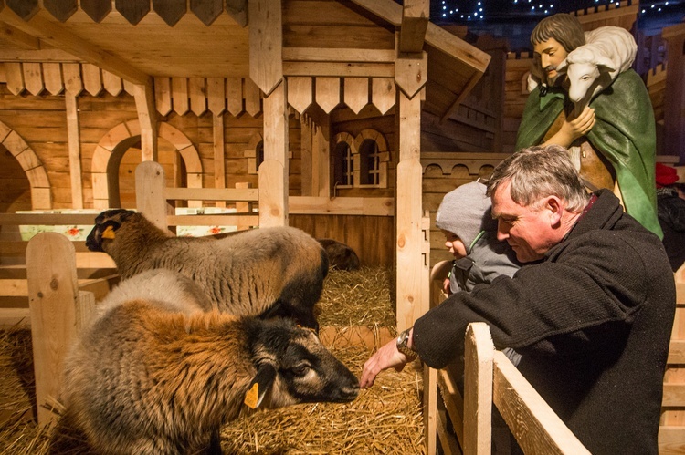 Żywa szopka u franciszkanów w Tychach