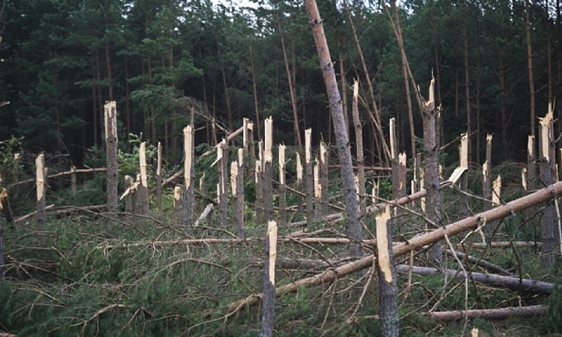 Wichury nad Polską - strażacy interweniowali ponad 400 razy