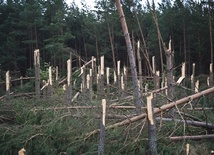 Wichury nad Polską - strażacy interweniowali ponad 400 razy