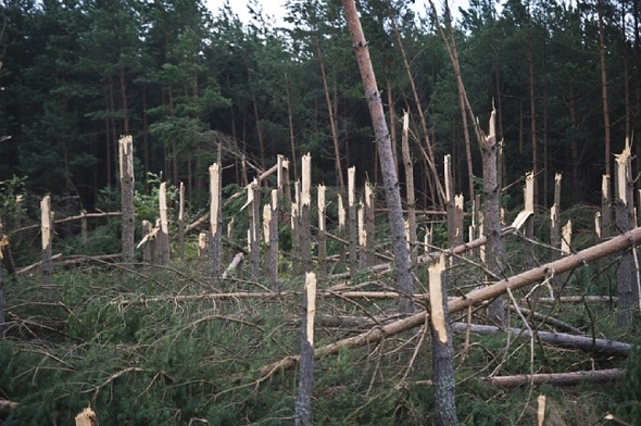 Wichury nad Polską - strażacy interweniowali ponad 400 razy