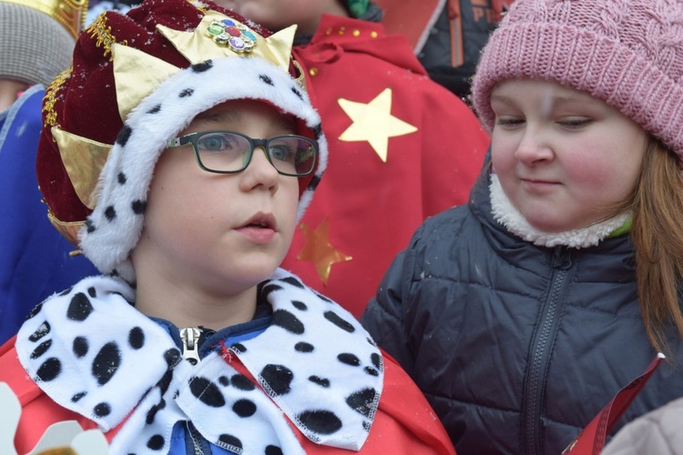 W Świebodzicach najbardziej zaangażowała się młodzież