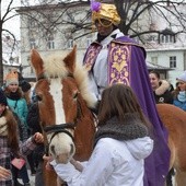 Niebieski król musiał sobie poradzić z przestraszonym kucykiem.