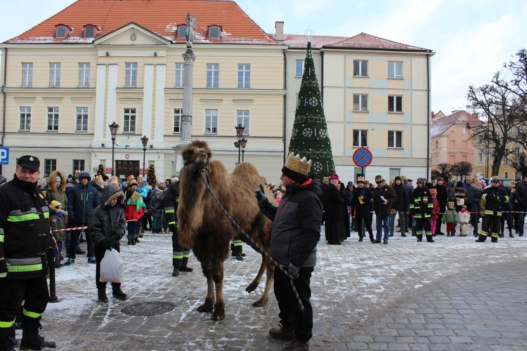 Orszak Trzech Króli w Oleśnicy