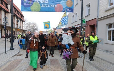 Św. Jadwiga pod parasolem życia