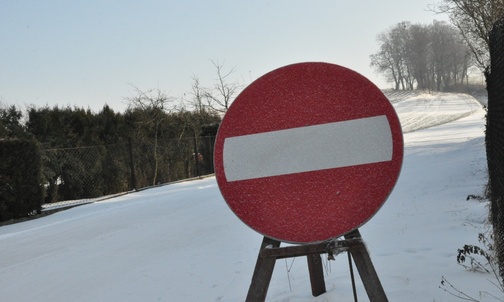 Zjadliwy wirus zaatakował ptaki