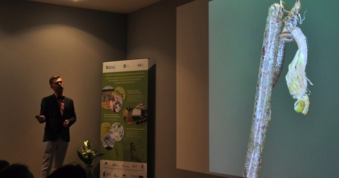 O ważkach - projekt MŚO