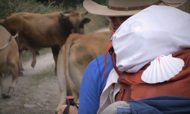 Pewnego dnia w USA w Arizonie pojawiło się niezwykłe ogłoszenie...