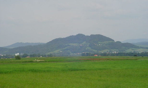 Góra Grojec