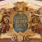 Aula Leopoldyńska nabiera blasku