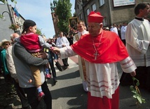 Pielgrzymka mężczyzn i młodzieńców do Piekar 31 maja 2015 r.