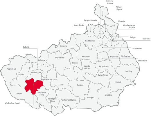 Dekanat Wodzisław Śląski - 28,5%