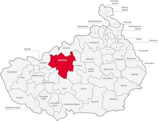 Dekanat Dębieńsko - 25,1%