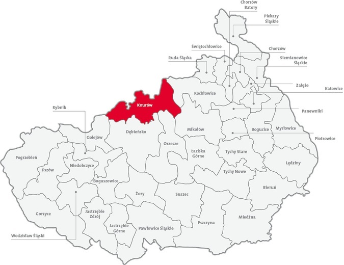 Dekanat Knurów - 20,6%