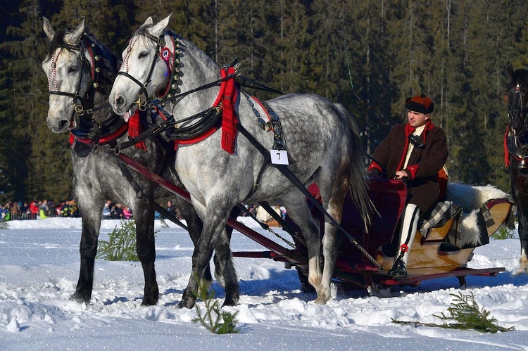 Parada Gazdowska w Małem Cichem