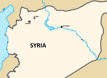 Syria: Armia przejęła kontrolę nad 32 miejscowościami w prowincji Aleppo