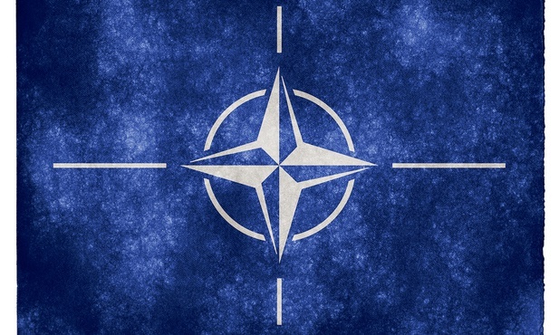 Wiceszefowa NATO odrzuca pomysł Jarosława Kaczyńskiego