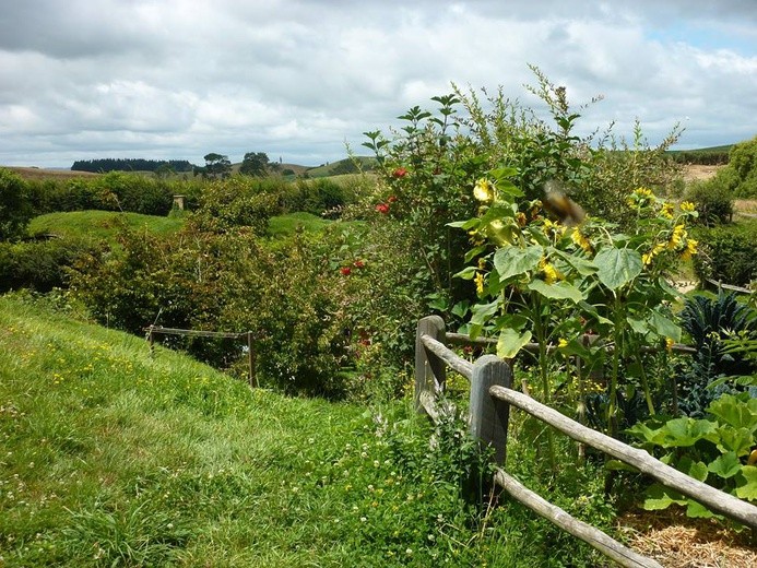 Hobbiton Movie Set - wioska hobbitów w Nowej Zelandii