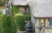 Hobbiton Movie Set - wioska hobbitów w Nowej Zelandii