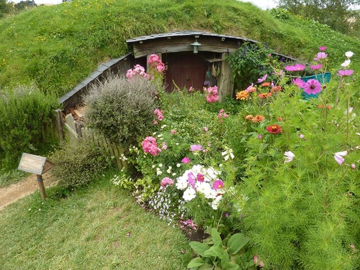 Hobbiton Movie Set - wioska hobbitów w Nowej Zelandii