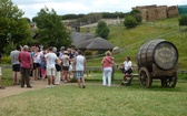 Hobbiton Movie Set - wioska hobbitów w Nowej Zelandii