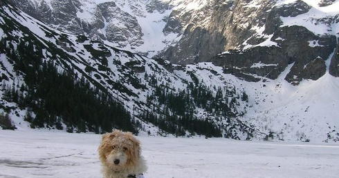 Basia wywąchała 35 kg narkotyków