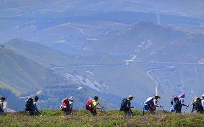 Camino na ekranie