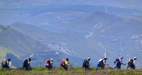 Camino na ekranie