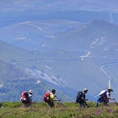 Camino na ekranie