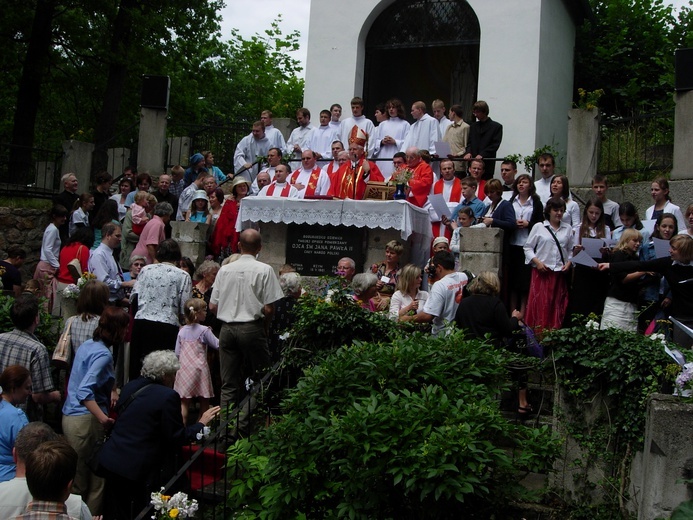 Oazowe perełki