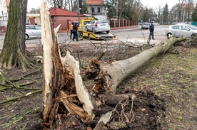 Po wichurach jedna ofiara śmiertelna, ponad 800 interwencji strażaków