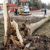 Po wichurach jedna ofiara śmiertelna, ponad 800 interwencji strażaków