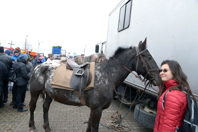 Jarmark Koński w Skaryszewie