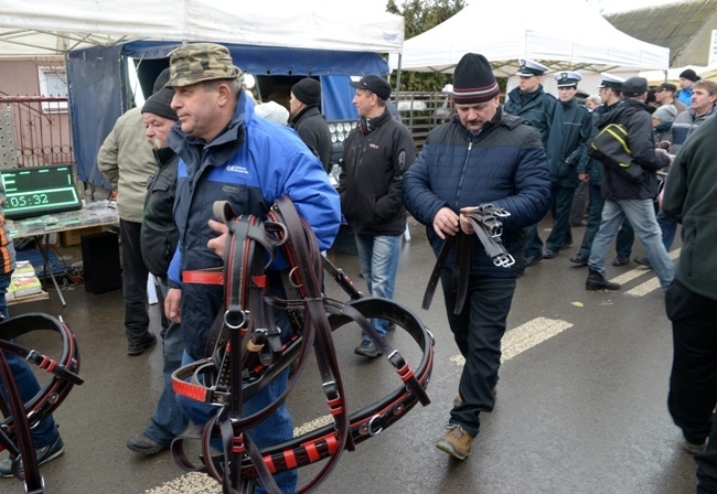 Jarmark Koński w Skaryszewie