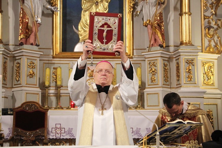 Powitanie ikony MB Częstochowskiej w Kozłowie Szlacheckim