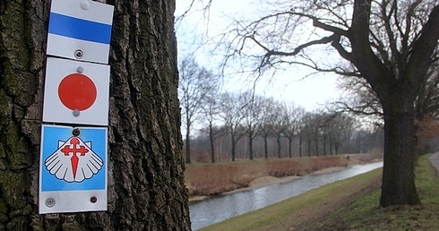Camino czeka na swoich strażników