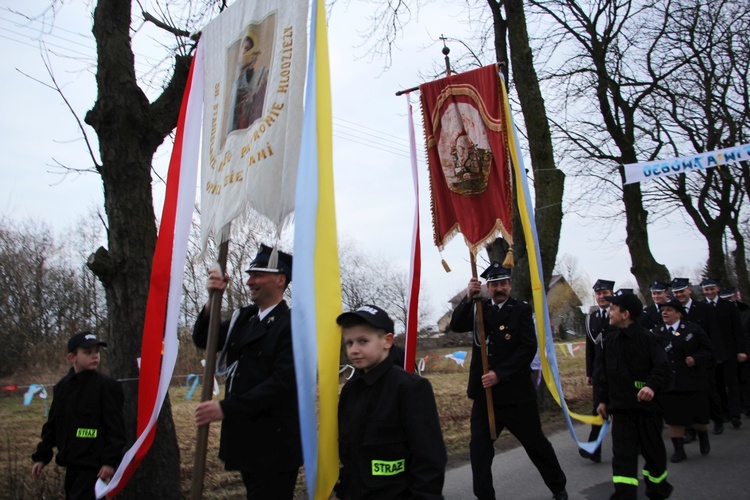 Powitanie ikony MB Częstochowskiej w Mikołajewie